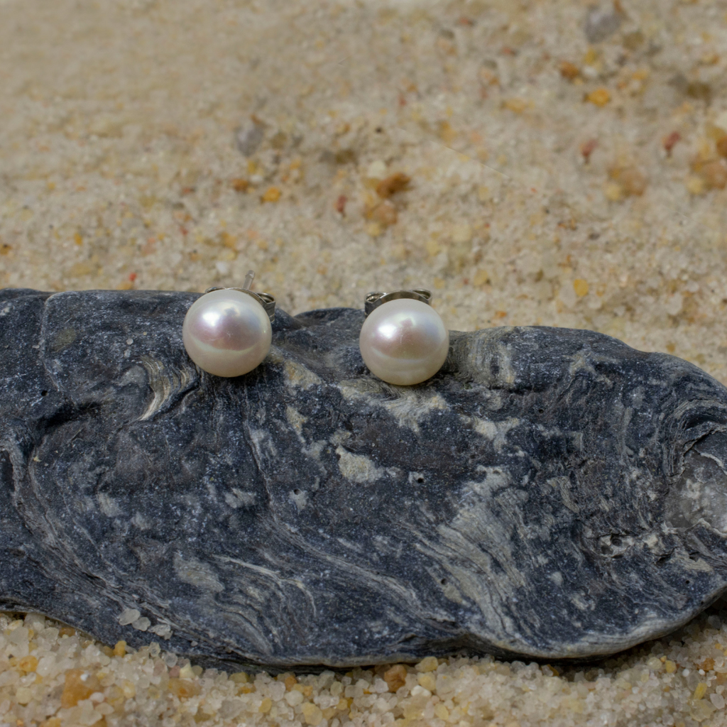 7-8 mm freshwater pearl post earrings setting on top of oyster shell. Nickel Free Earrings
